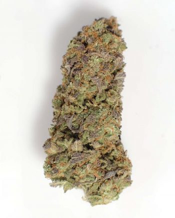 order weed online moby dick sativa