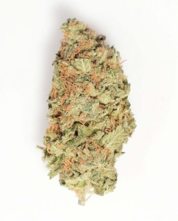 best dispensary with white widow and gorilla glue 4 hybrid cannabis